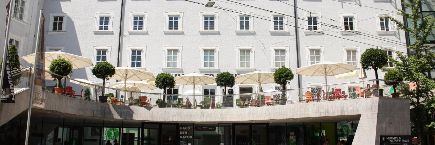 Museo de Historia Natural